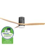 [CLIMATE VOUCHER $400] iFan 52in DC Motor Ceiling Fan | Integrated 3-Colour LED Lights | 6 Speed Selection (IF8352DGWD)