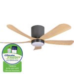 [CLIMATE VOUCHER $400] iFan 48in DC Motor Ceiling Fan | 5 Blade | 6 Speed Selection (IF8548DGLW)